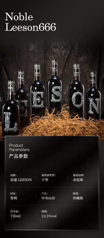 雷盛红酒666智利干红葡萄酒