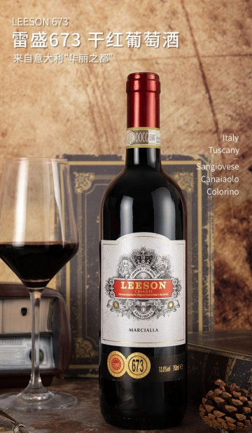 雷盛673意大利干红（一箱两瓶）
