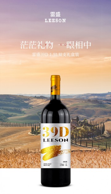 雷盛红酒39D大瓶1.5L智利干红葡萄酒