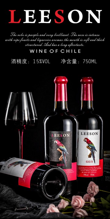 雷盛红酒669智利干红葡萄酒